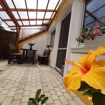 Thermal Garden *
