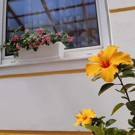 Thermal Garden * Mosonmagyaróvár