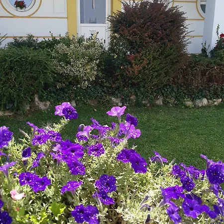 Thermal Garden Apartment