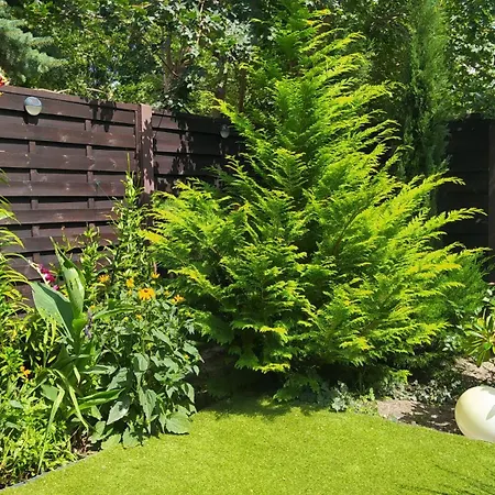 Thermal Garden Apartment *