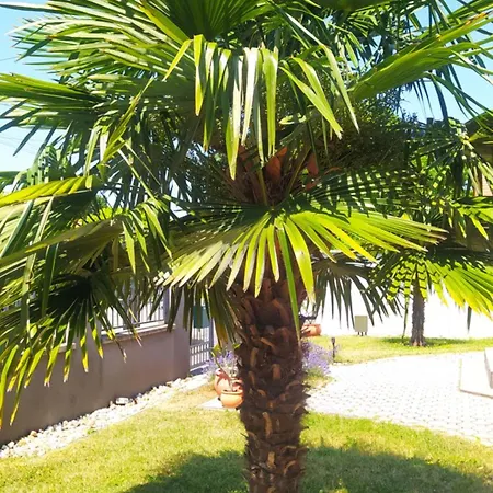 Thermal Garden * Mosonmagyaróvár