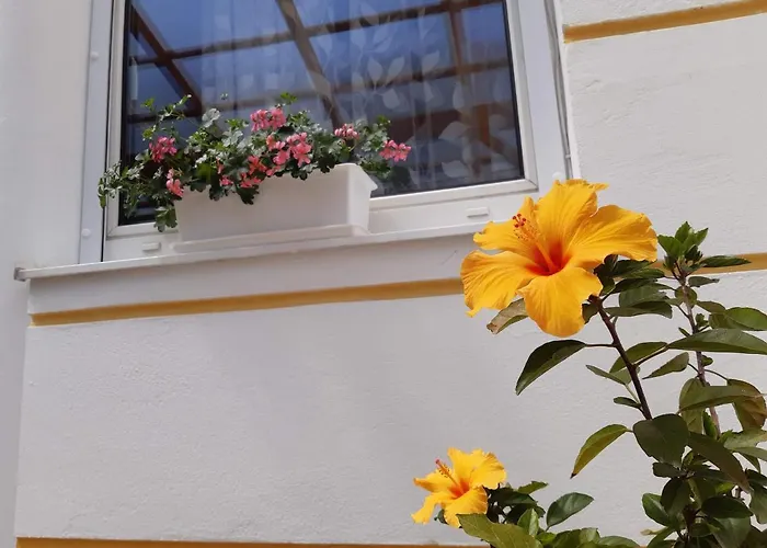 Thermal Garden * Mosonmagyaróvár