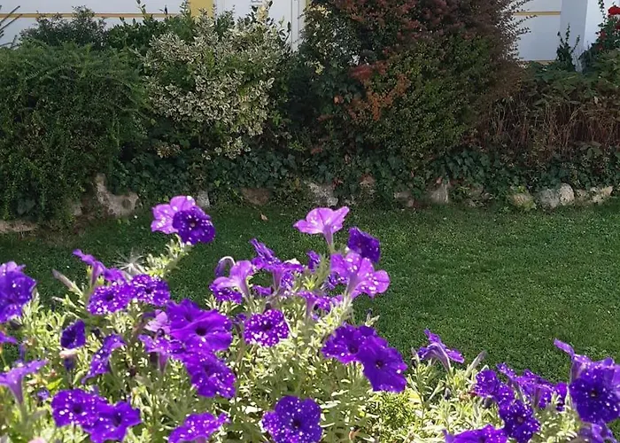 Thermal Garden Apartmán