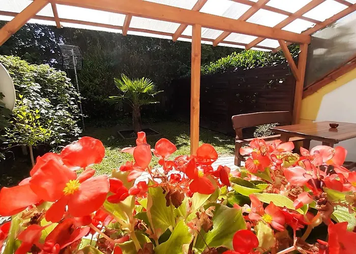 Thermal Garden * Mosonmagyaróvár