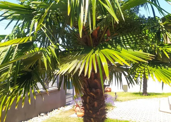 Thermal Garden * Mosonmagyaróvár